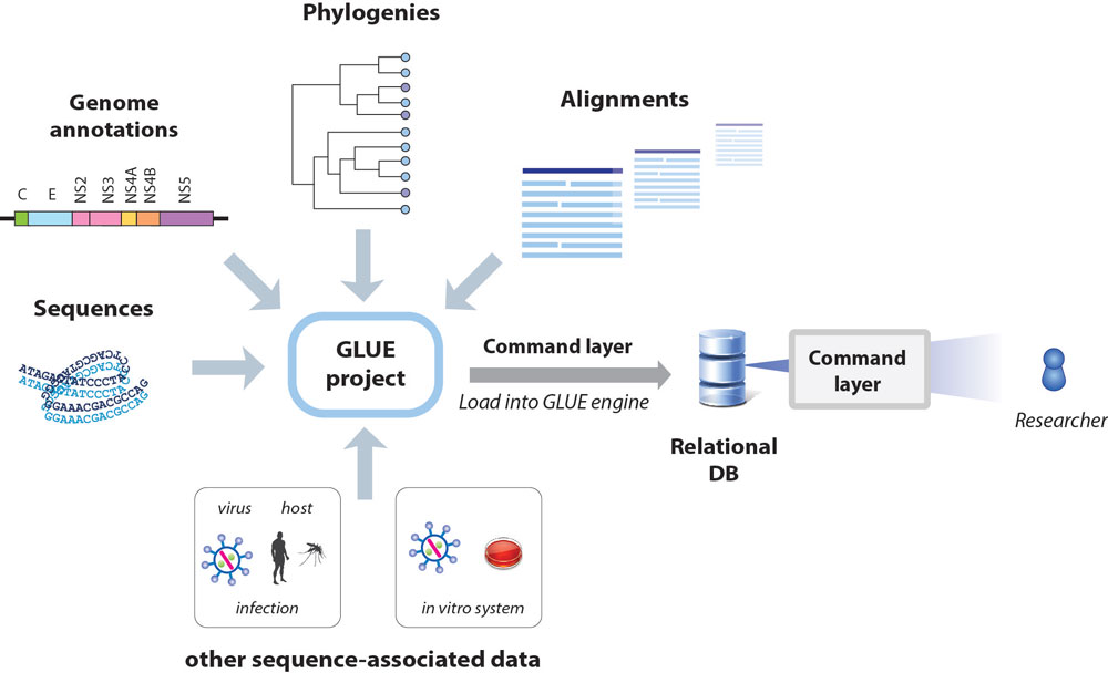 GLUE framework figure